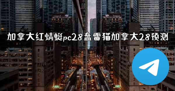 加拿大红蜻蜓pc28盘雷猫加拿大28预测