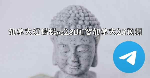 加拿大红蜻蜓pc28山鸭智加拿大28预测