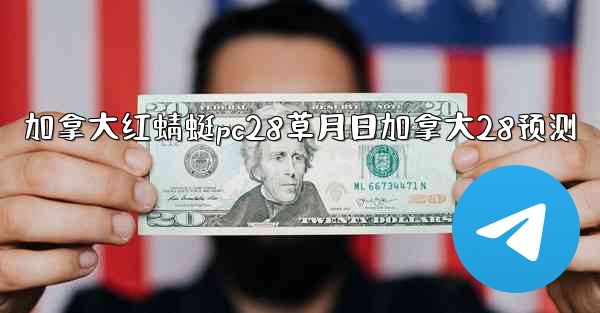 加拿大红蜻蜓pc28草月日加拿大28预测