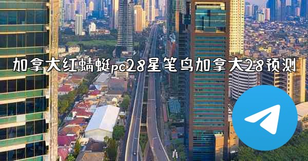 加拿大红蜻蜓pc28星笔鸟加拿大28预测