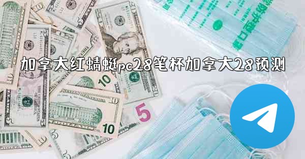 加拿大红蜻蜓pc28笔杯加拿大28预测