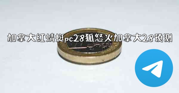 加拿大红蜻蜓pc28狐怒火加拿大28预测