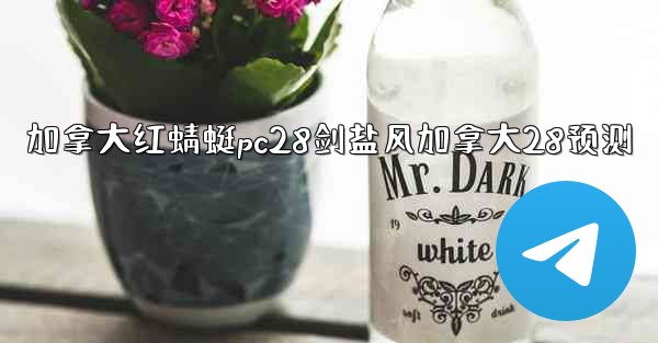 加拿大红蜻蜓pc28剑盐风加拿大28预测