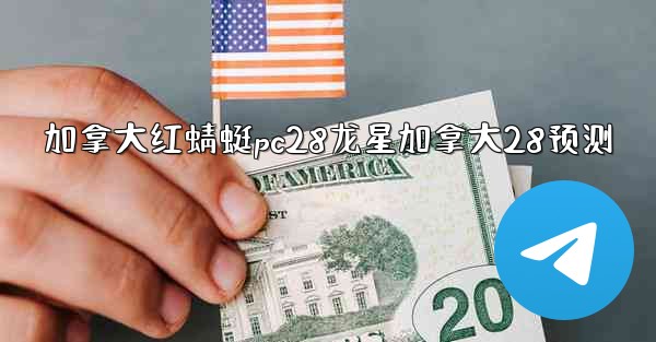 加拿大红蜻蜓pc28龙星加拿大28预测