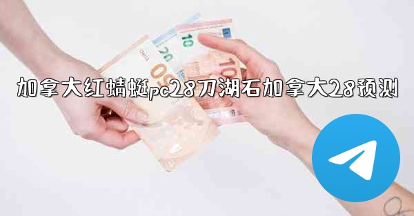 加拿大红蜻蜓pc28刀湖石加拿大28预测