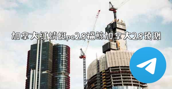 加拿大红蜻蜓pc28福鲸加拿大28预测