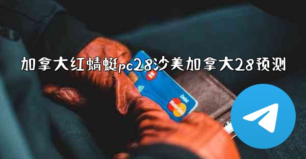 加拿大红蜻蜓pc28沙美加拿大28预测