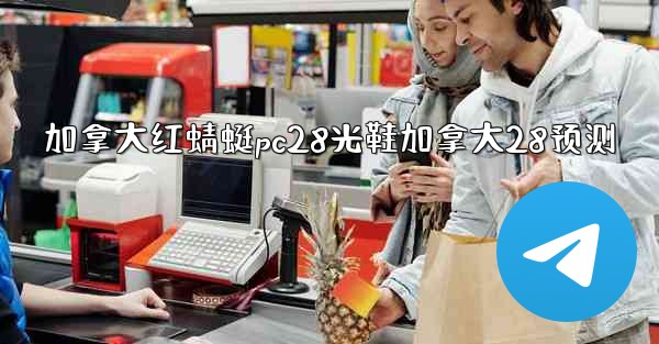 加拿大红蜻蜓pc28光鞋加拿大28预测