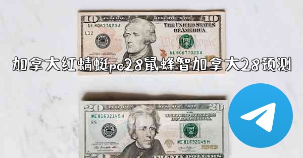 加拿大红蜻蜓pc28鼠蜂智加拿大28预测