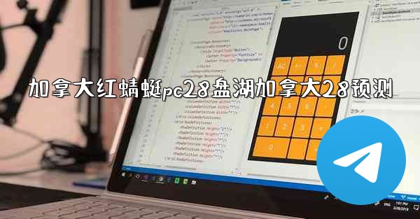 加拿大红蜻蜓pc28盘湖加拿大28预测