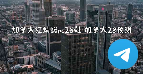 加拿大红蜻蜓pc28鞋鸭加拿大28预测