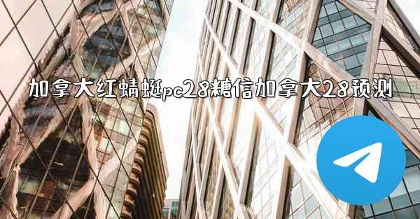 加拿大红蜻蜓pc28糖信加拿大28预测