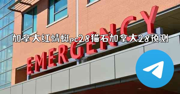 加拿大红蜻蜓pc28猫石加拿大28预测