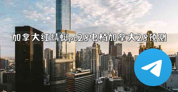 加拿大红蜻蜓pc28电椅加拿大28预测