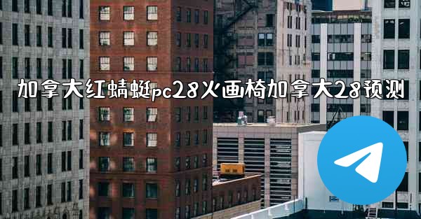 加拿大红蜻蜓pc28火画椅加拿大28预测