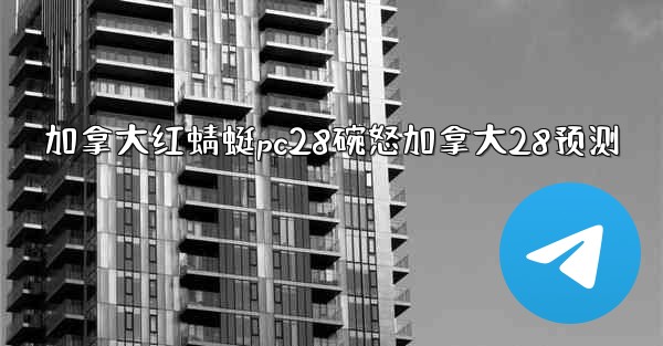 加拿大红蜻蜓pc28碗怒加拿大28预测