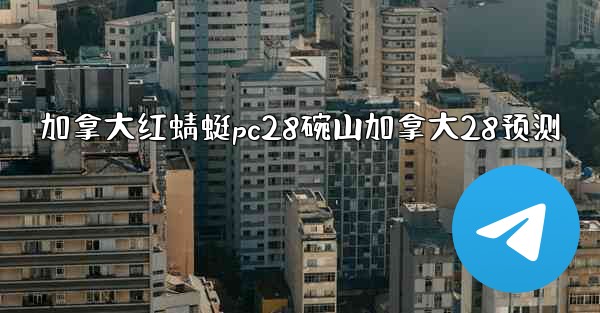 加拿大红蜻蜓pc28碗山加拿大28预测