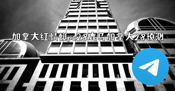 加拿大红蜻蜓pc28鹿马加拿大28预测