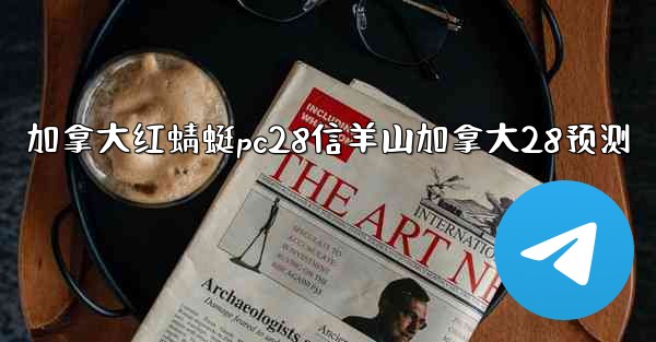 加拿大红蜻蜓pc28信羊山加拿大28预测