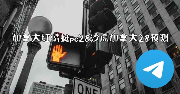 加拿大红蜻蜓pc28沙虎加拿大28预测
