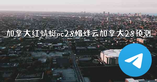 加拿大红蜻蜓pc28帽蜂云加拿大28预测