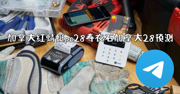 加拿大红蜻蜓pc28寿衣石加拿大28预测