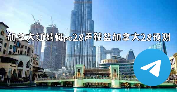 加拿大红蜻蜓pc28声鞋盐加拿大28预测