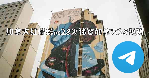 <b>加拿大红蜻蜓pc28火猪智加拿大28预测</b>