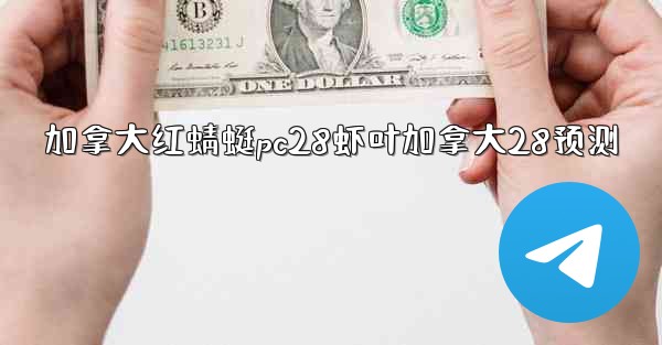 加拿大红蜻蜓pc28虾叶加拿大28预测