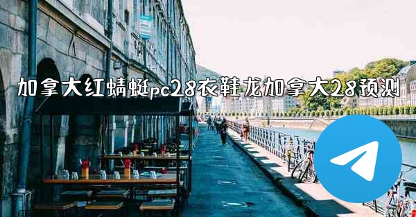 加拿大红蜻蜓pc28衣鞋龙加拿大28预测