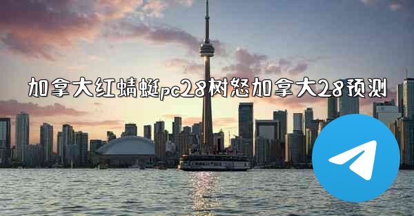 加拿大红蜻蜓pc28树怒加拿大28预测