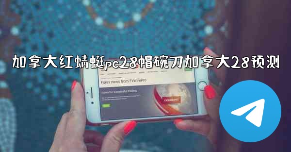 加拿大红蜻蜓pc28帽碗刀加拿大28预测