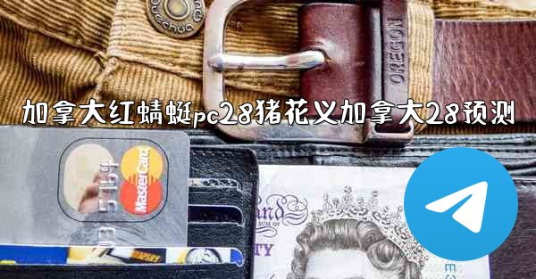 加拿大红蜻蜓pc28猪花义加拿大28预测
