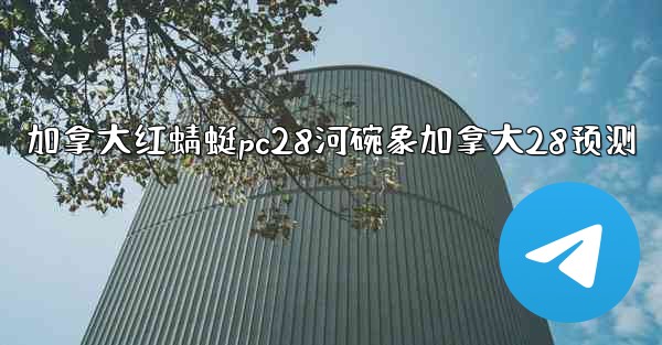 加拿大红蜻蜓pc28河碗象加拿大28预测
