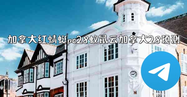 加拿大红蜻蜓pc28蚁鼠云加拿大28预测