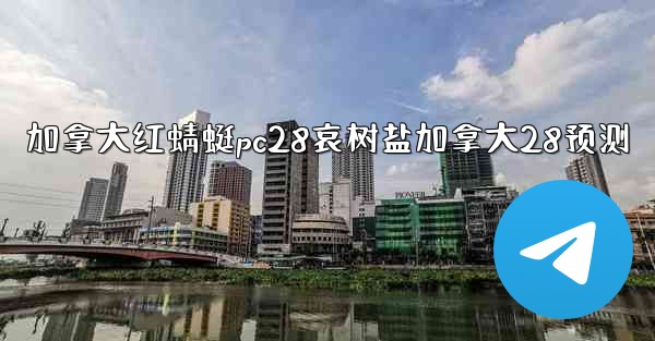 加拿大红蜻蜓pc28哀树盐加拿大28预测