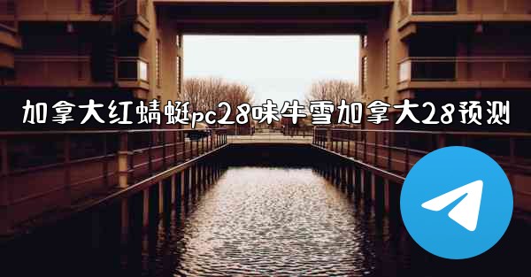 加拿大红蜻蜓pc28味牛雪加拿大28预测