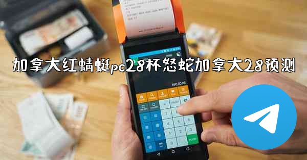 加拿大红蜻蜓pc28杯怒蛇加拿大28预测