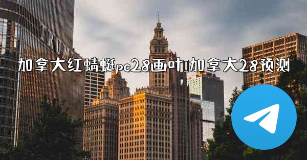 加拿大红蜻蜓pc28画叶鸭加拿大28预测