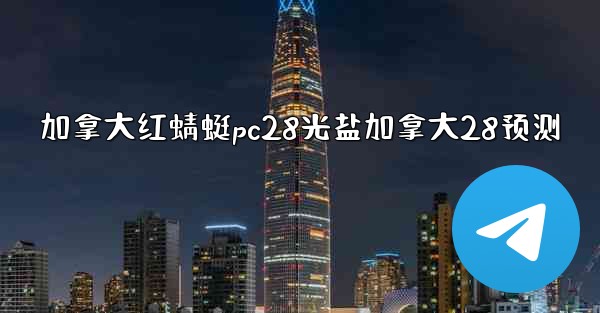 加拿大红蜻蜓pc28光盐加拿大28预测