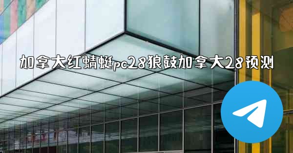 加拿大红蜻蜓pc28狼鼓加拿大28预测