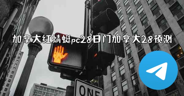 加拿大红蜻蜓pc28日门加拿大28预测