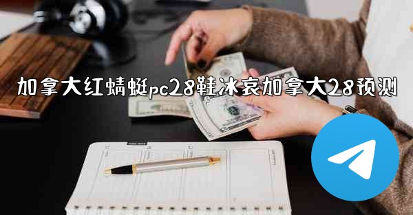 加拿大红蜻蜓pc28鞋冰哀加拿大28预测