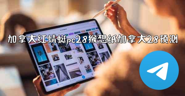 加拿大红蜻蜓pc28猴想纸加拿大28预测