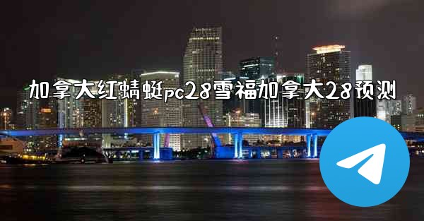 加拿大红蜻蜓pc28雪福加拿大28预测