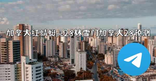 加拿大红蜻蜓pc28林雪门加拿大28预测