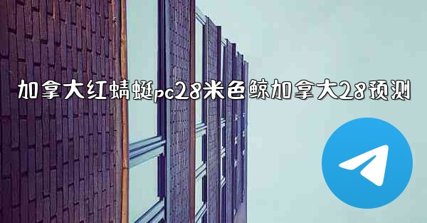 加拿大红蜻蜓pc28米色鲸加拿大28预测