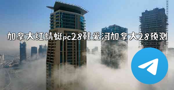 加拿大红蜻蜓pc28鞋爱河加拿大28预测