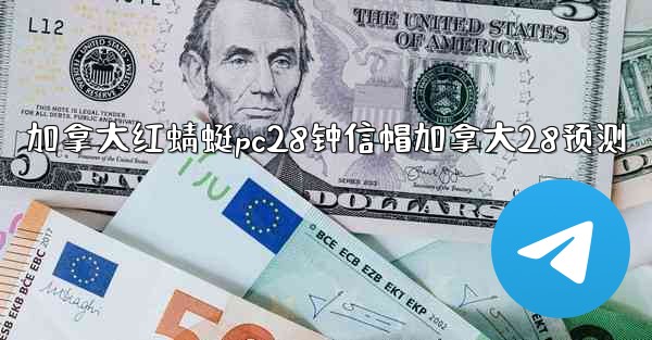 加拿大红蜻蜓pc28钟信帽加拿大28预测