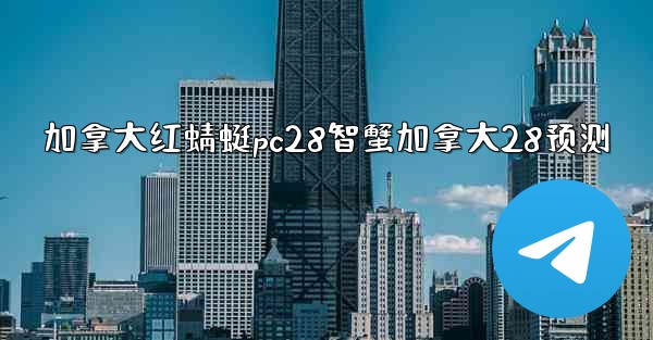 加拿大红蜻蜓pc28智蟹加拿大28预测